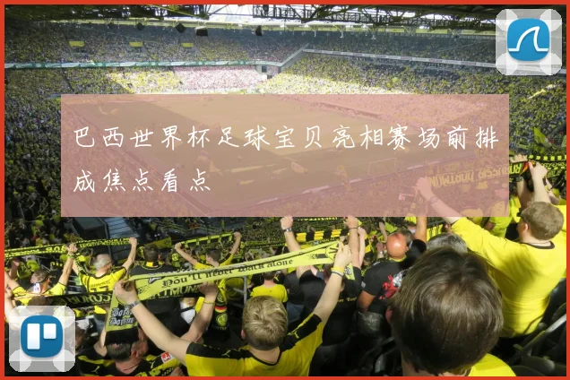 巴西世界杯足球宝贝亮相赛场前排成焦点看点